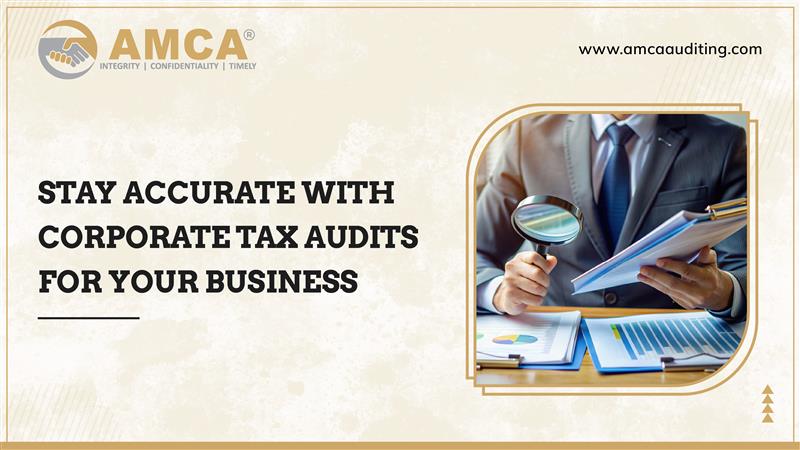 why-do-corporate-tax-audits-matter